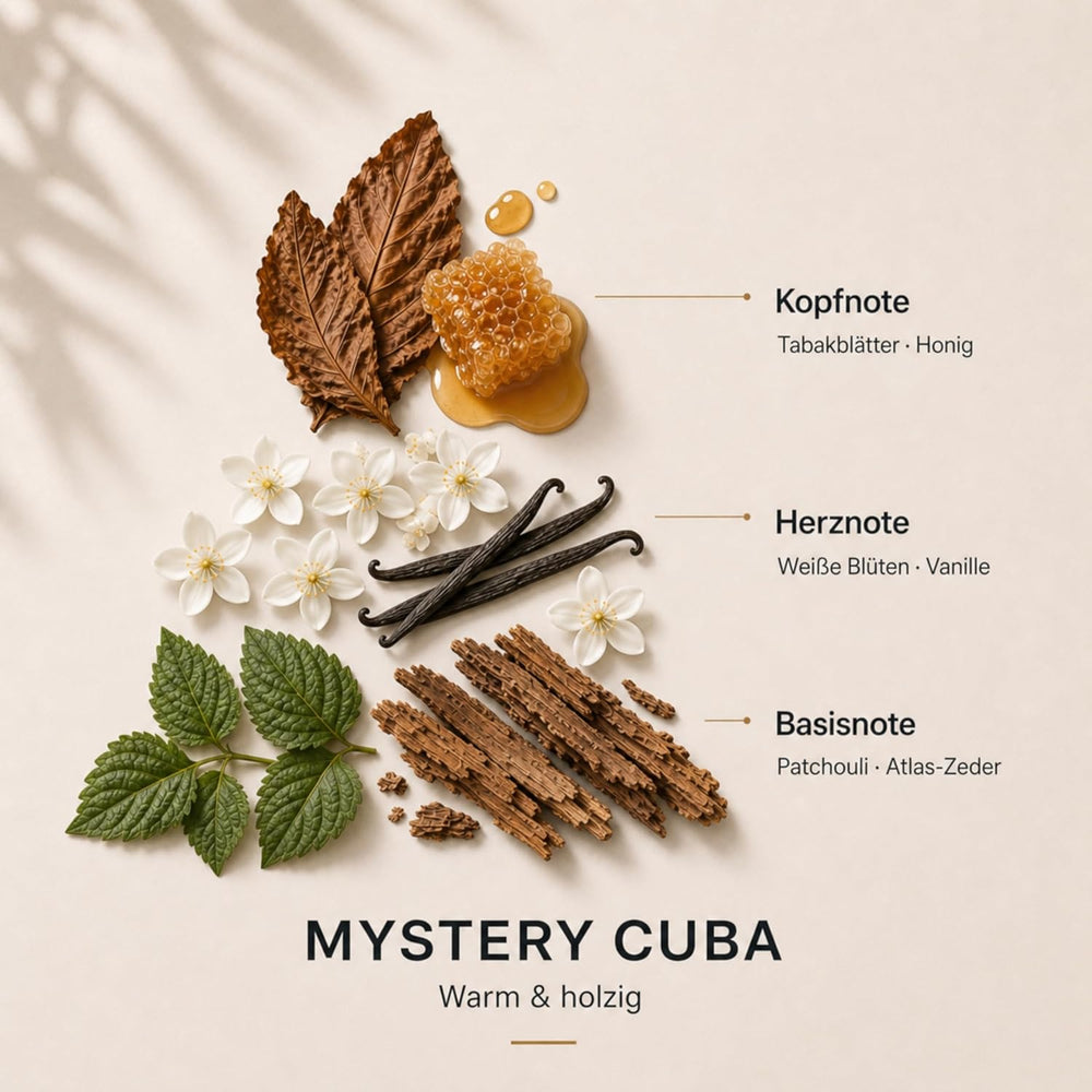 Mystery Cuba Refill – zwei Nachfüllungen für den Duftspender aus Walnussholz | MICAVO